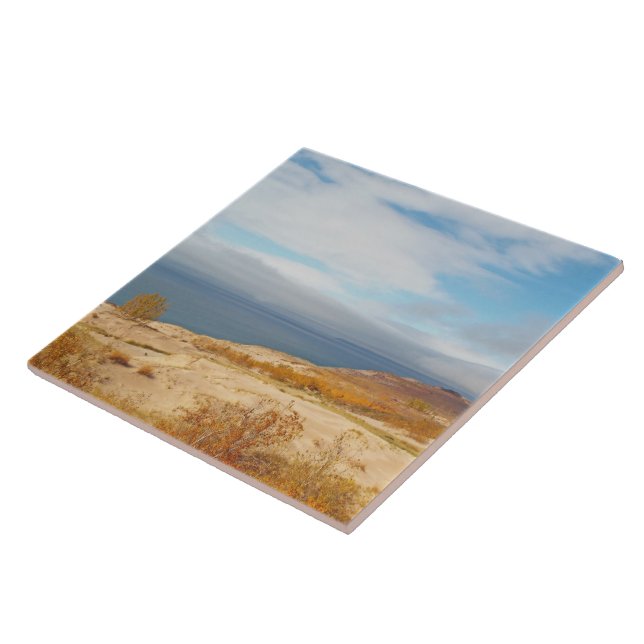 "LAKE MICHIGAN EM DUNAS DE URSO DE DORMIR" (Lateral)