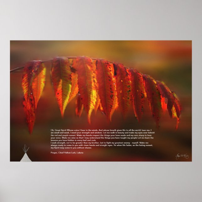 Lakota Prayer Poster (Frente)