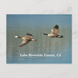 Lakw Riverside Estates, CA Cartão Postal