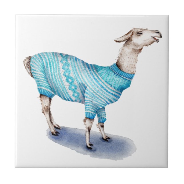 Lama da aguarela na camisola azul (Frente)