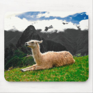 Lama de Machu Picchu - Mousepad