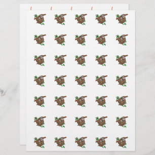 Lama e Koala são pequenos design de dois lados