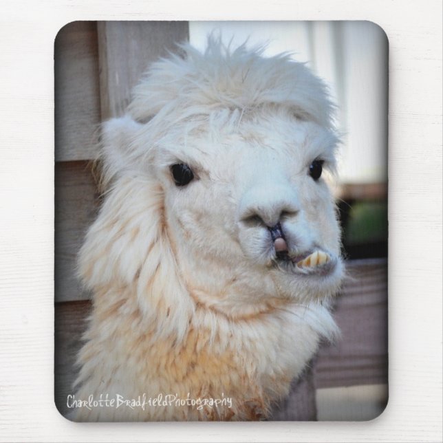 Lama Mousepad (Frente)