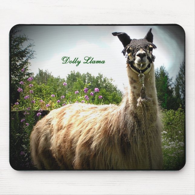 Lama Mousepad da zorra (Frente)