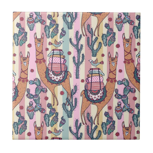 Lamas no teste padrão das listras (Frente)