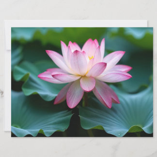 Lámina de papel ,Serenidad Floral