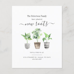 Lançamento de Novas Raízes Planejadas no Orçamento