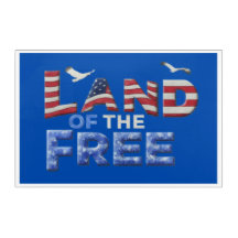 "Land of the Free" Acrylic Wall Art.