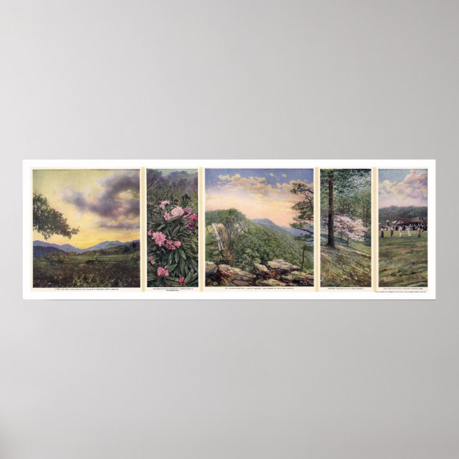 Land Of The Sky Poster 1917 (Frente)