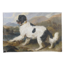 Landseer Newfoundland Dog (Black and White Animal)