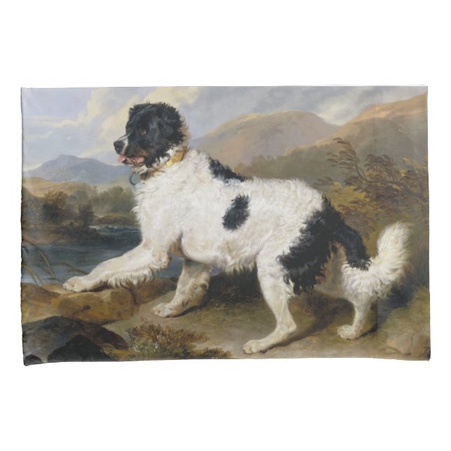 Landseer Newfoundland Dog (Black and White Animal) (Frente-Direita)