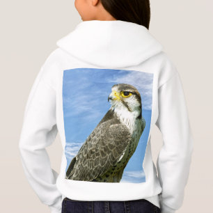 Lanner Falcon empacotado