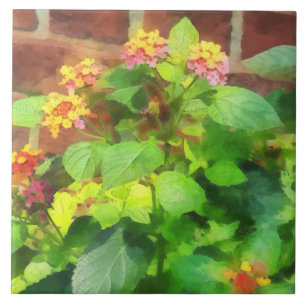 Lantana contra a parede de tijolo