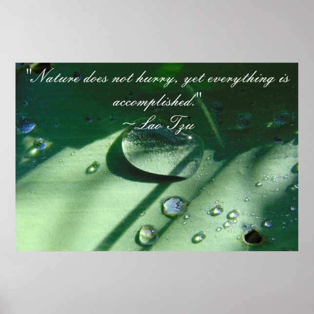 Lao Tzu Nature Quote Poster (Frente)