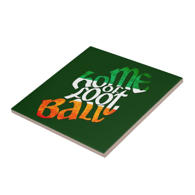 Lar do Futebol GAA na Irlanda (Lateral)