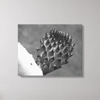 "Lar é onde está..." impressão em canvas
