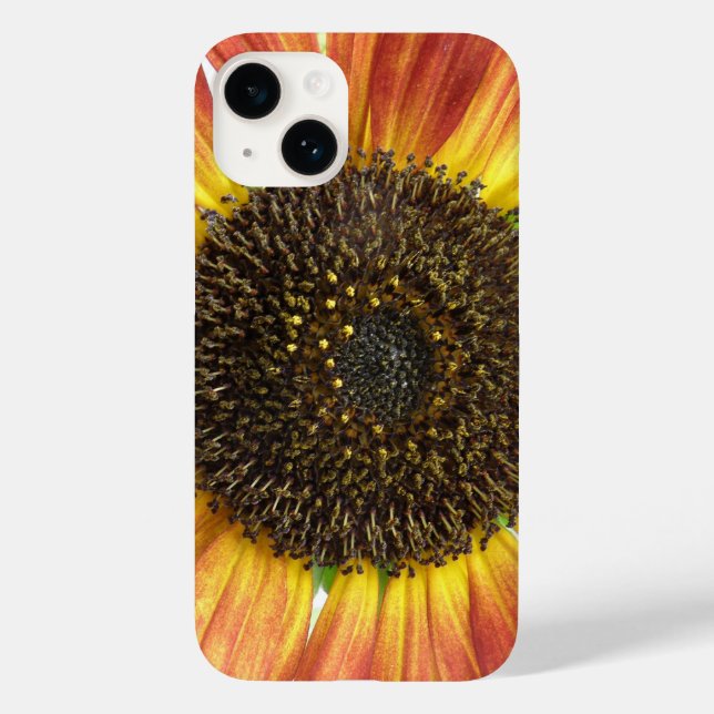 Laranja (Verso)