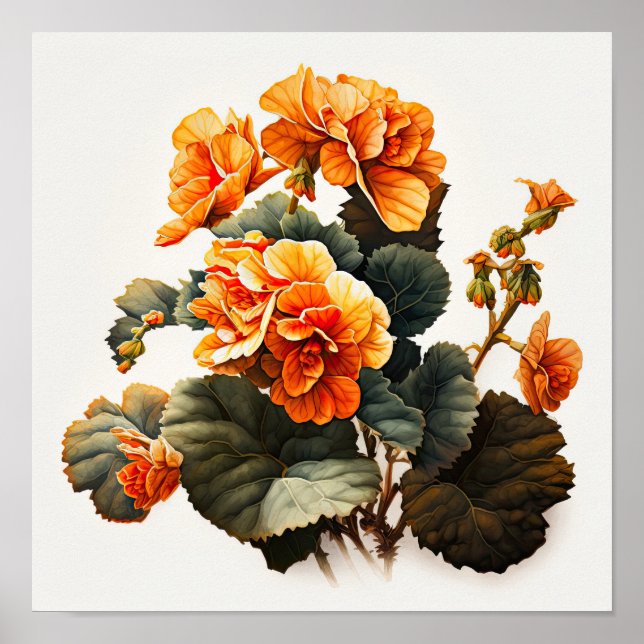 Laranja Begonias Flores Impressão (Frente)