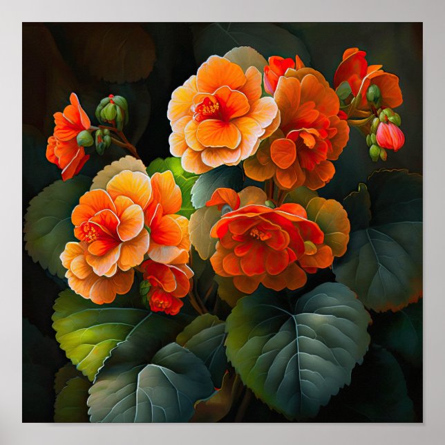 Laranja Begonias Flores Impressão (Frente)