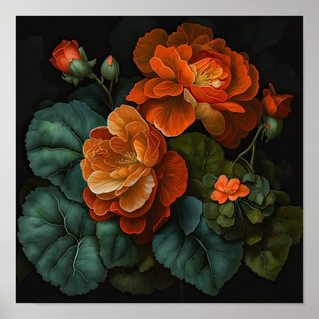 Laranja Begonias Flores Impressão (Frente)