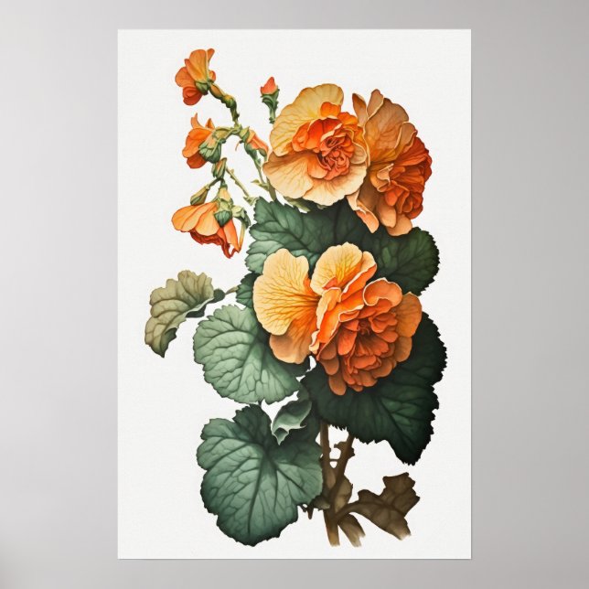 Laranja Begonias Flores Impressão (Frente)