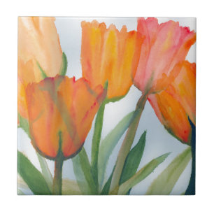 Laranja Citrus Tulips