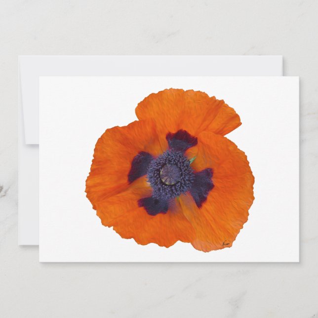 Laranja Escarlate Poppy 1 (Frente)