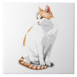 Laranja Gengibre e Gato Branco Personalizado