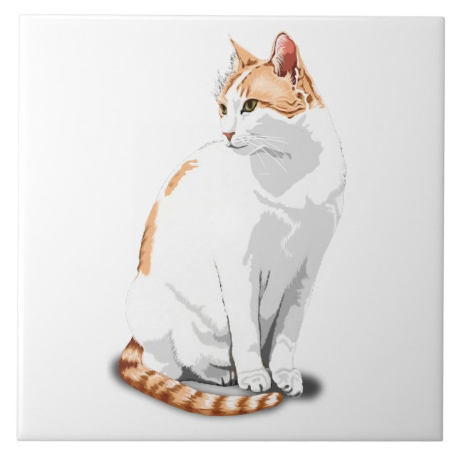 Laranja Gengibre e Gato Branco Personalizado (Frente)