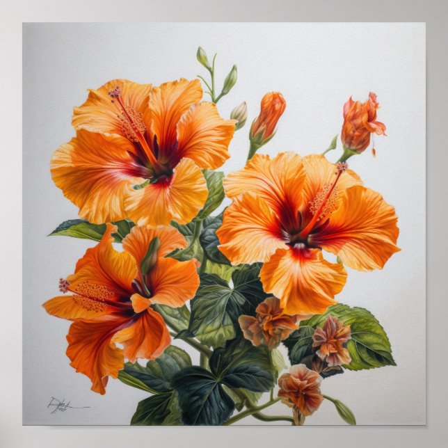Laranja Hibiscus Flower Art Impressão (Frente)