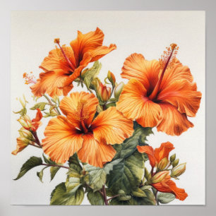 Laranja Hibiscus Flower Art Impressão
