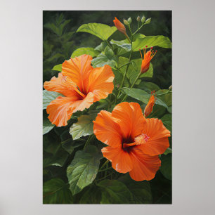 Laranja Hibiscus Flower Art Impressão
