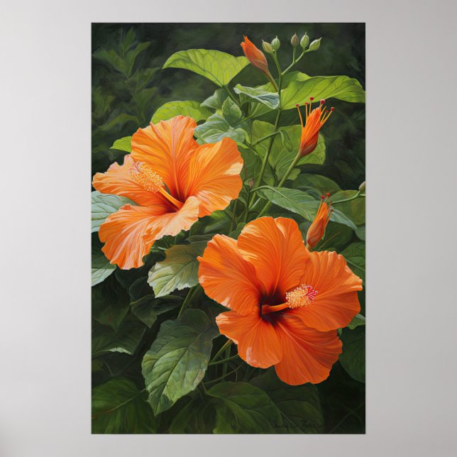 Laranja Hibiscus Flower Art Impressão (Frente)