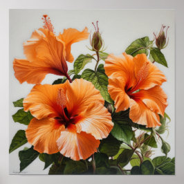 Laranja Hibiscus Flower Art Impressão