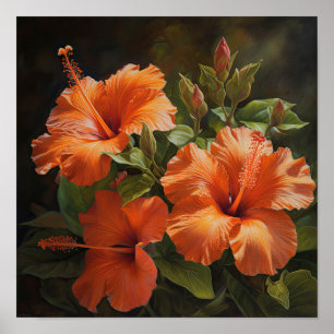 Laranja Hibiscus Flower Art Impressão