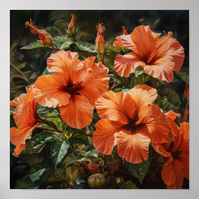 Laranja Hibiscus Flower Art Impressão (Frente)