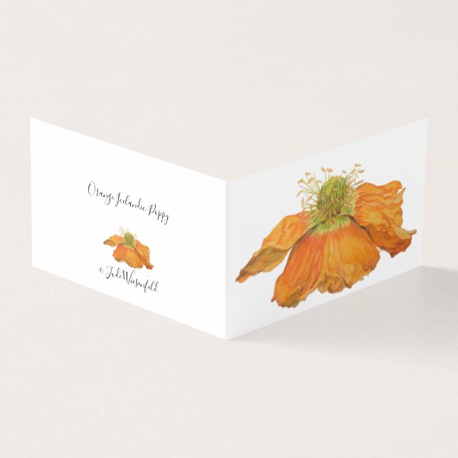 Laranja Islandês Poppy (Exterior)