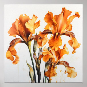 Laranja Levanta Impressão de Arte Flor
