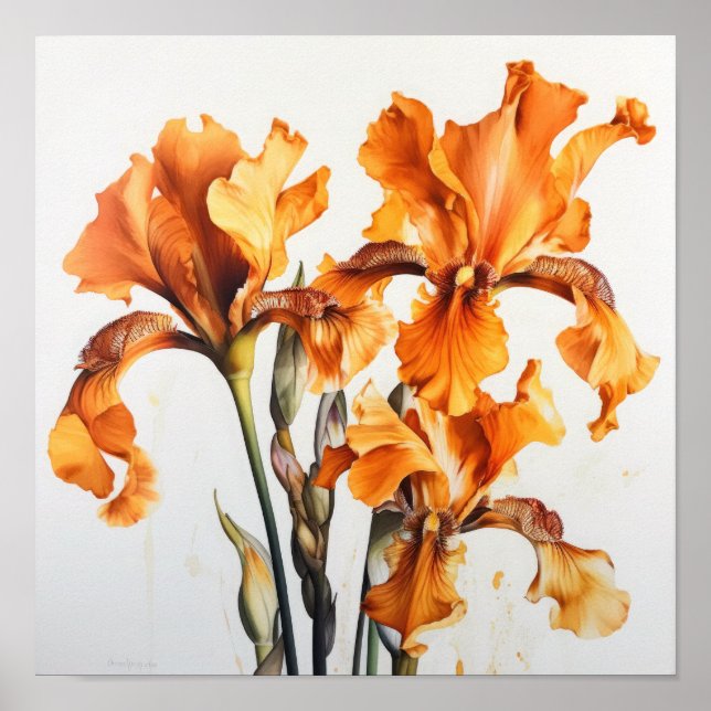 Laranja Levanta Impressão de Arte Flor (Frente)