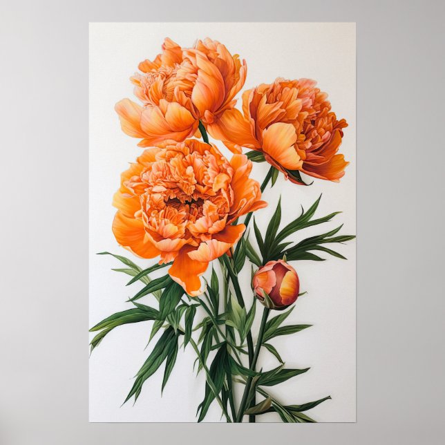 Laranja Peonias Flores Impressão (Frente)