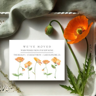 Laranja Poppies Novo Anúncio de Movimentação de
