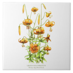 Laranja Selvagem Tiger Lily Floral Estilo Botânico