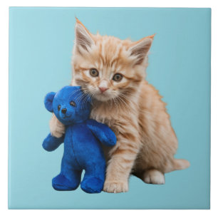 Laranja Tabby Kitten e Ursinho Decorativo