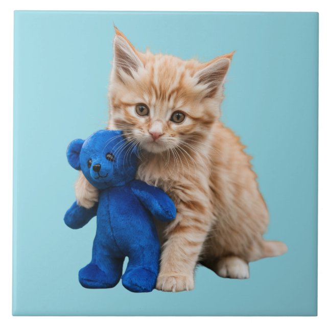 Laranja Tabby Kitten e Ursinho Decorativo (Frente)