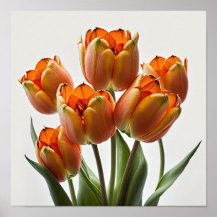 Laranja Tulipas Flor Impressão