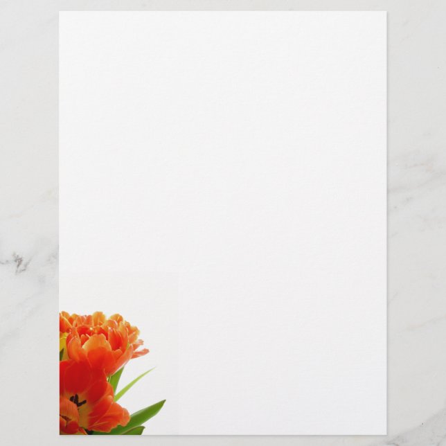 Laranja Tulipas Letterhead (Frente)