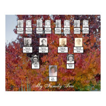 Laranja, Vermelho, Folha Roxa, Poster de Árvore Fa