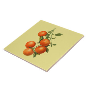 Laranjas ~ Azulejo Botânico ~ Cozinha ~ Qualquer C
