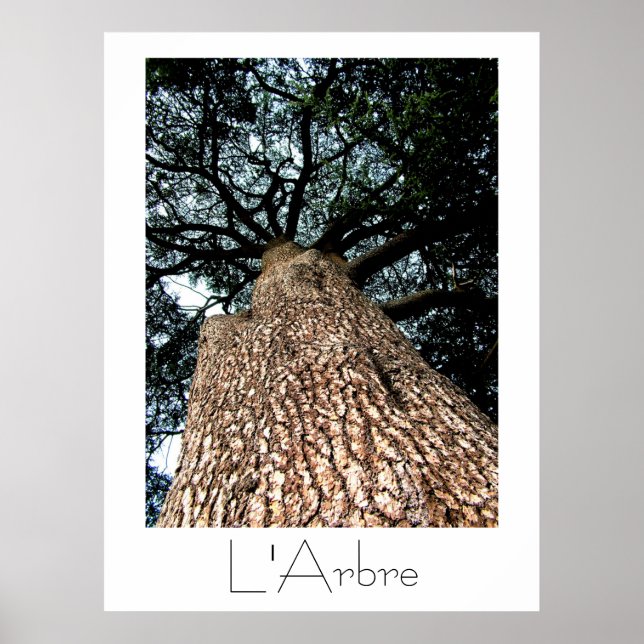 L'Arbre Poster (Frente)