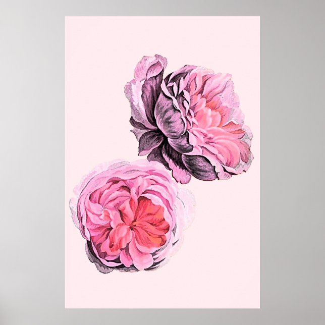Large Pink Flowers Vintage Art Poster (Frente)